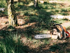 Comment choisir une tronçonneuse ?